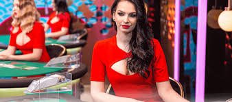 Live Casino VIP Baccarat Roulette ကစားနေသောမြင်ကွင်း